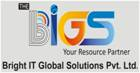 Bright IT Globa Solutions Pvt. Ltd.